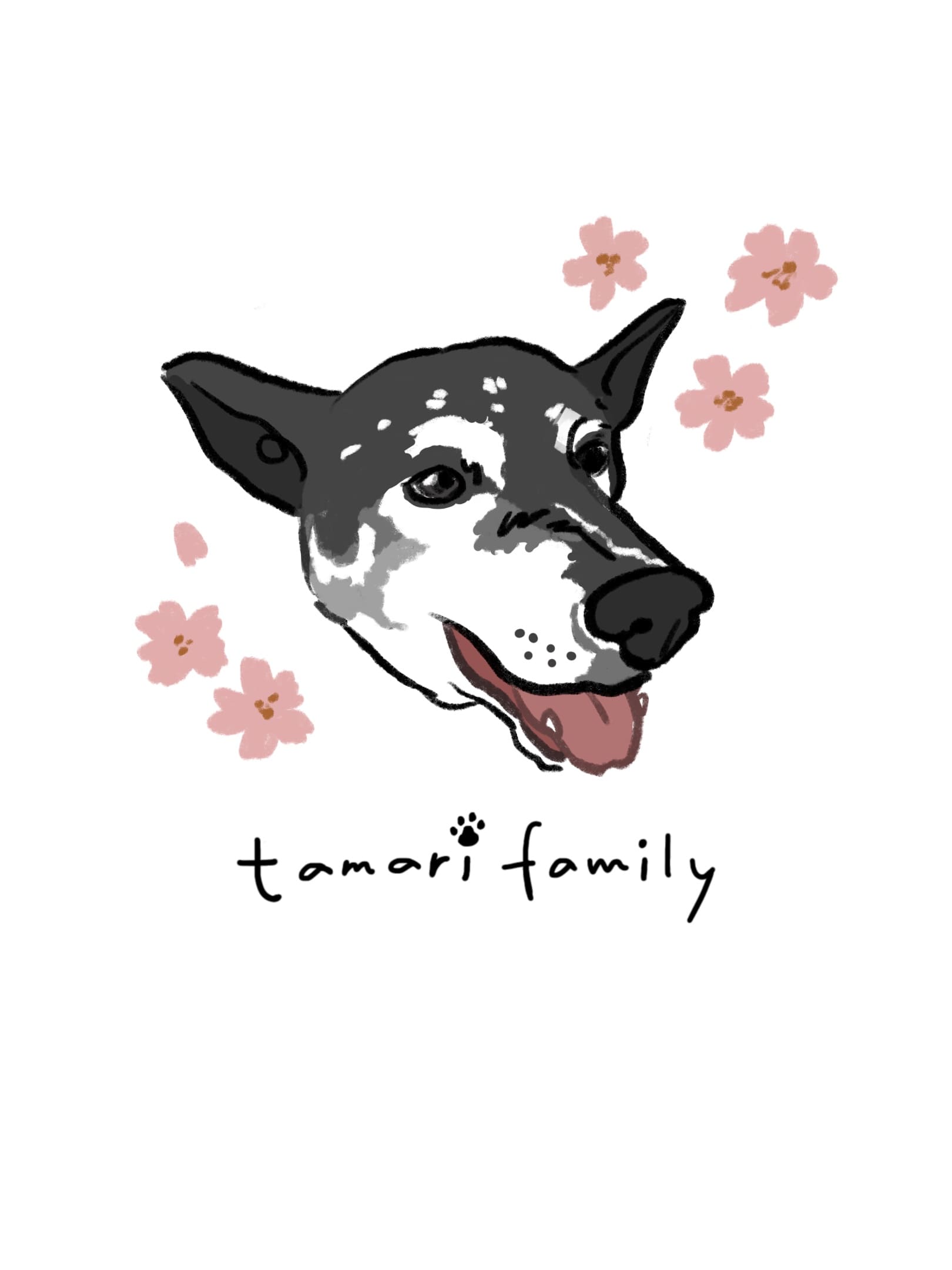 愛犬まろんちゃんの写真と、その優しい表情をもとに描いたtamari familyのペット似顔絵イラスト